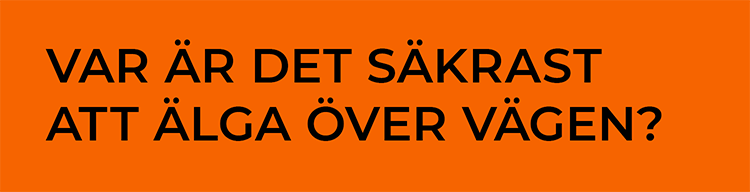 Var är det säkrast att älga över vägen?